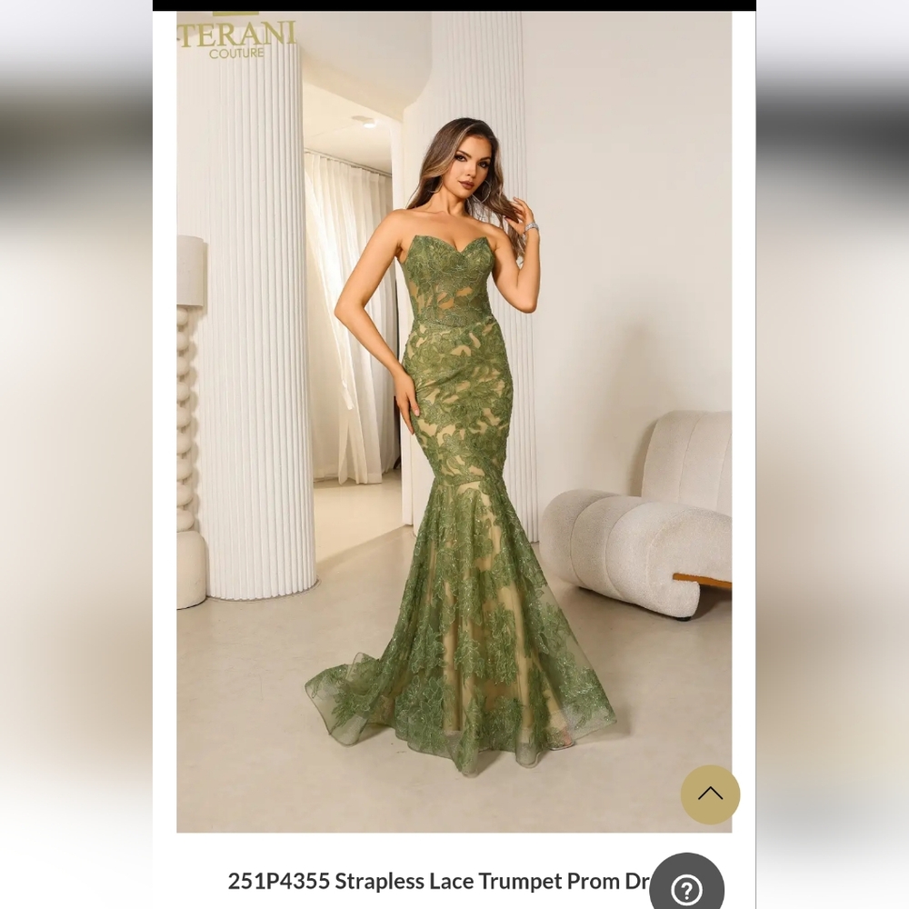 Terani Couture Evening/Prom Gown